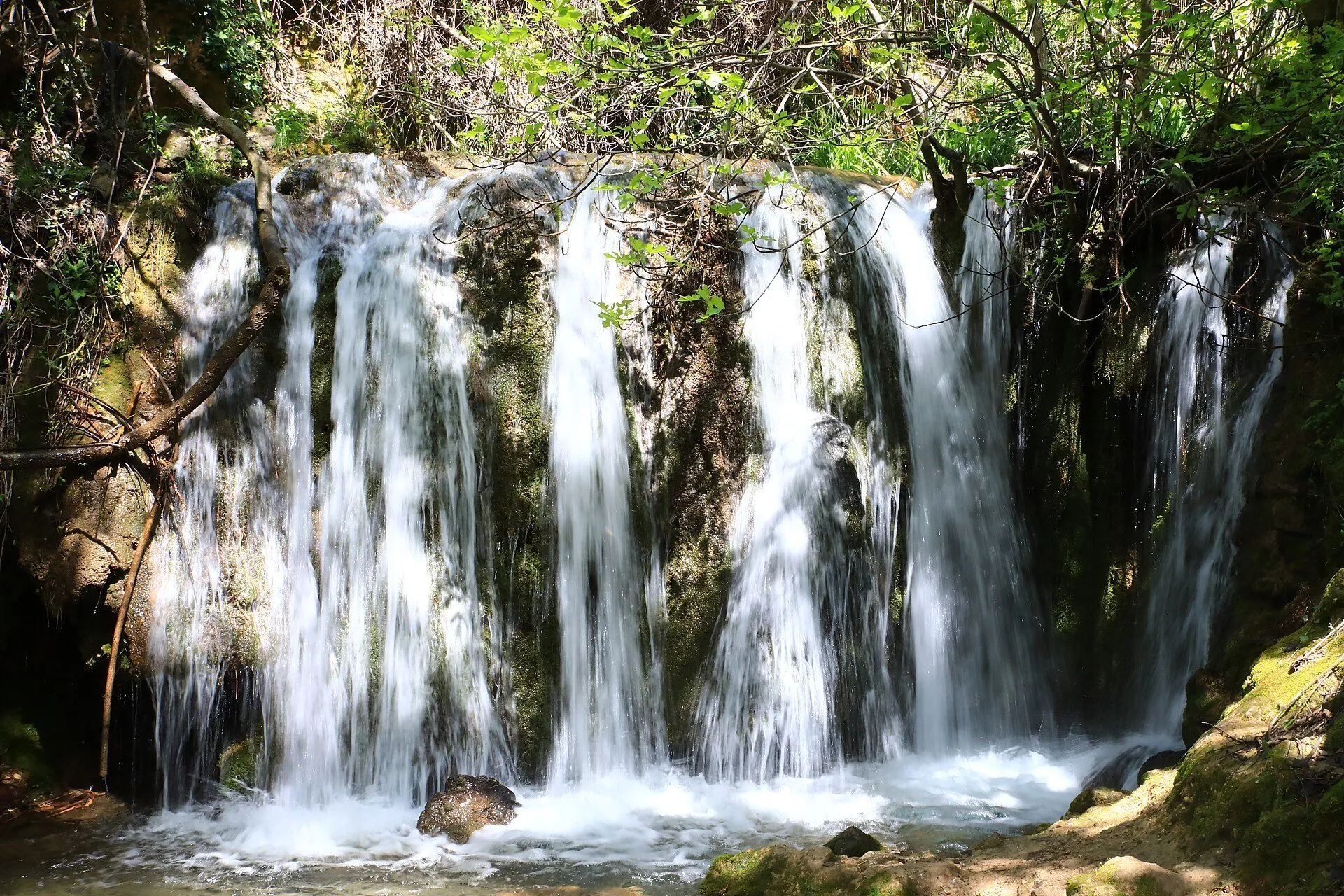 A waterfall among pine forests in the Sierra de Cazorla
