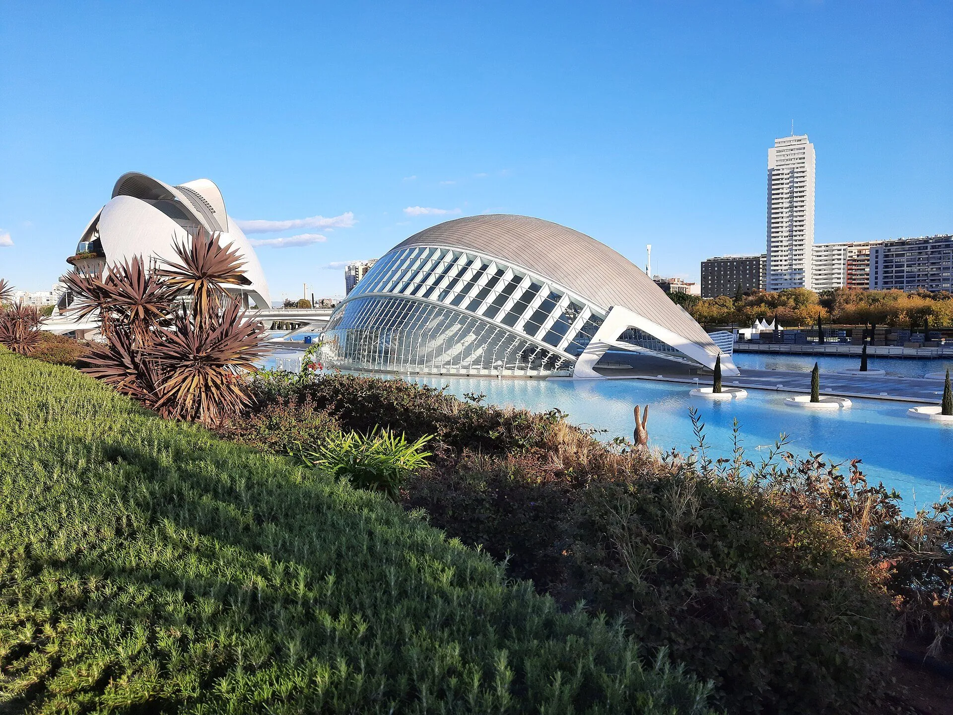 The Ciudad de las Artes y las Ciencias in Valencia, seen from its gardens